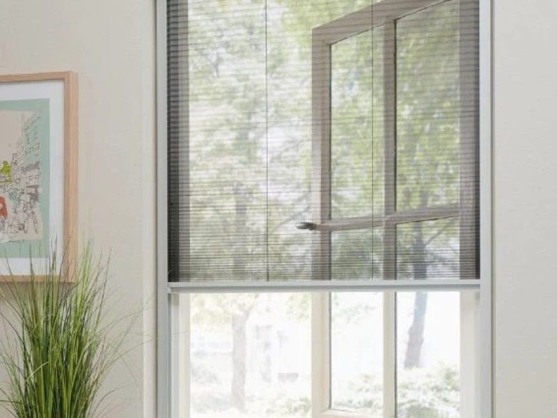 WhatsApp Image 2025-07-01 at 16.22.58